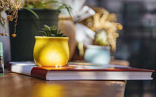 留學(xué)期間學(xué)俄語(yǔ)難嗎，俄語(yǔ)等級(jí)考試有什么學(xué)習(xí)技巧嗎
