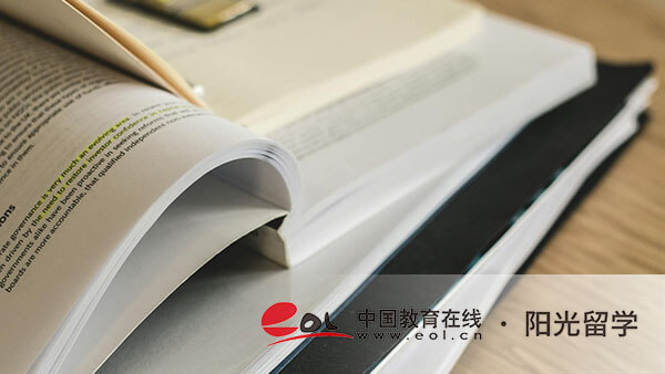 荷蘭藝術(shù)史與理論專業(yè)本科留學(xué)有哪些條件，有哪些優(yōu)勢(shì)